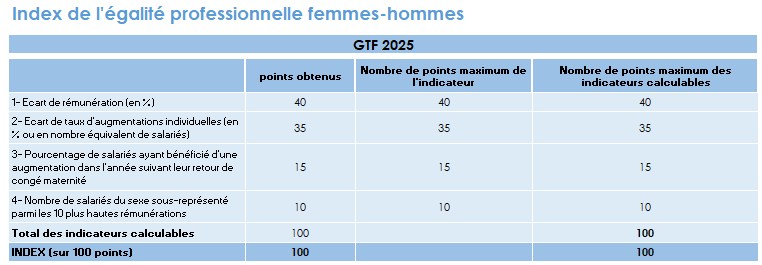 Indice égalité professionnelle GTF 2026
