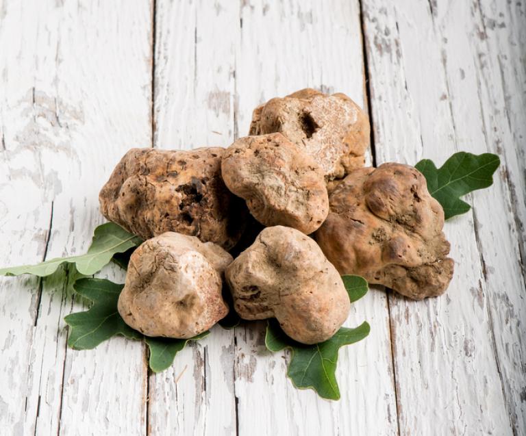 Truffe blanche d’Alba