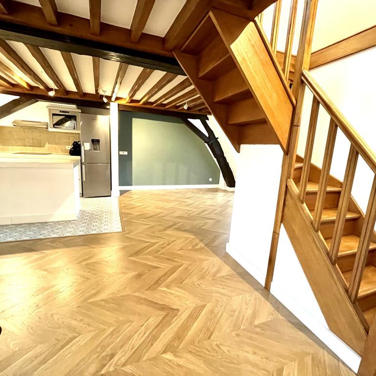 A LOUER 2/3  Pièces en DUPLEX surface 46.80m²  Loi Boutin et 84m²  au sol au 