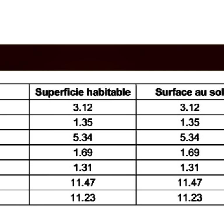A louer 75007 Paris 2P rénové quartier sèvres Babylone  