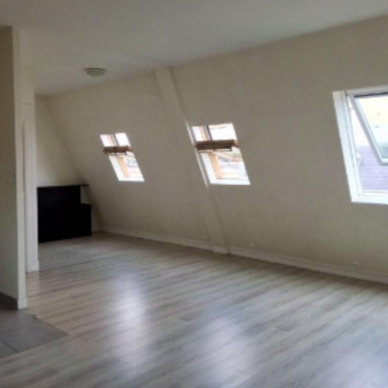 A LOUER GRAND STUDIO 35m² PARIS VIIIème EN DERNIER ETAGE VUE SUR LES TOITS