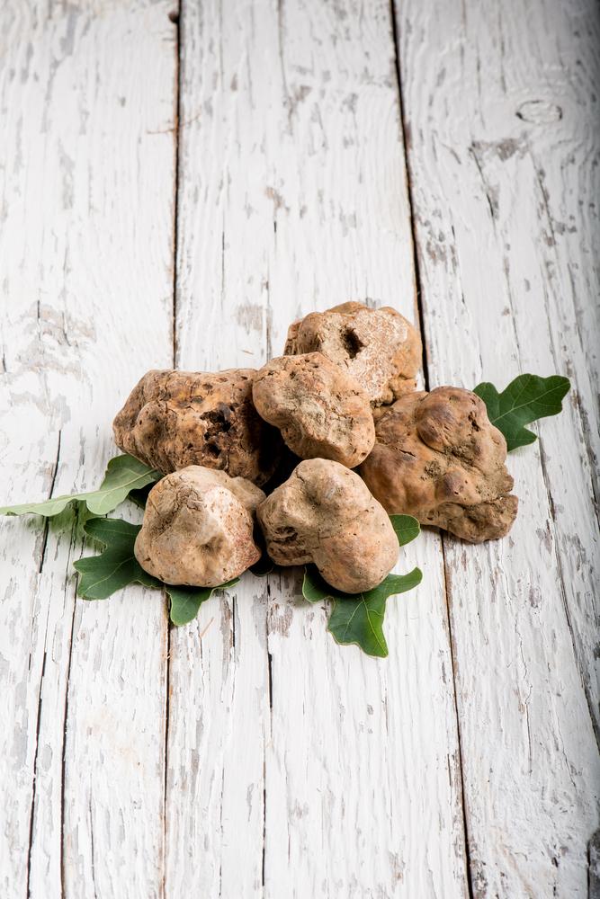 Truffe blanche d’Alba
