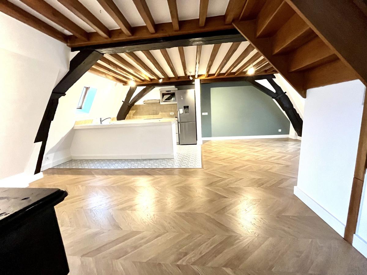 A LOUER 2/3  Pièces en DUPLEX surface 46.80m²  Loi Boutin et 84m²  au sol au 