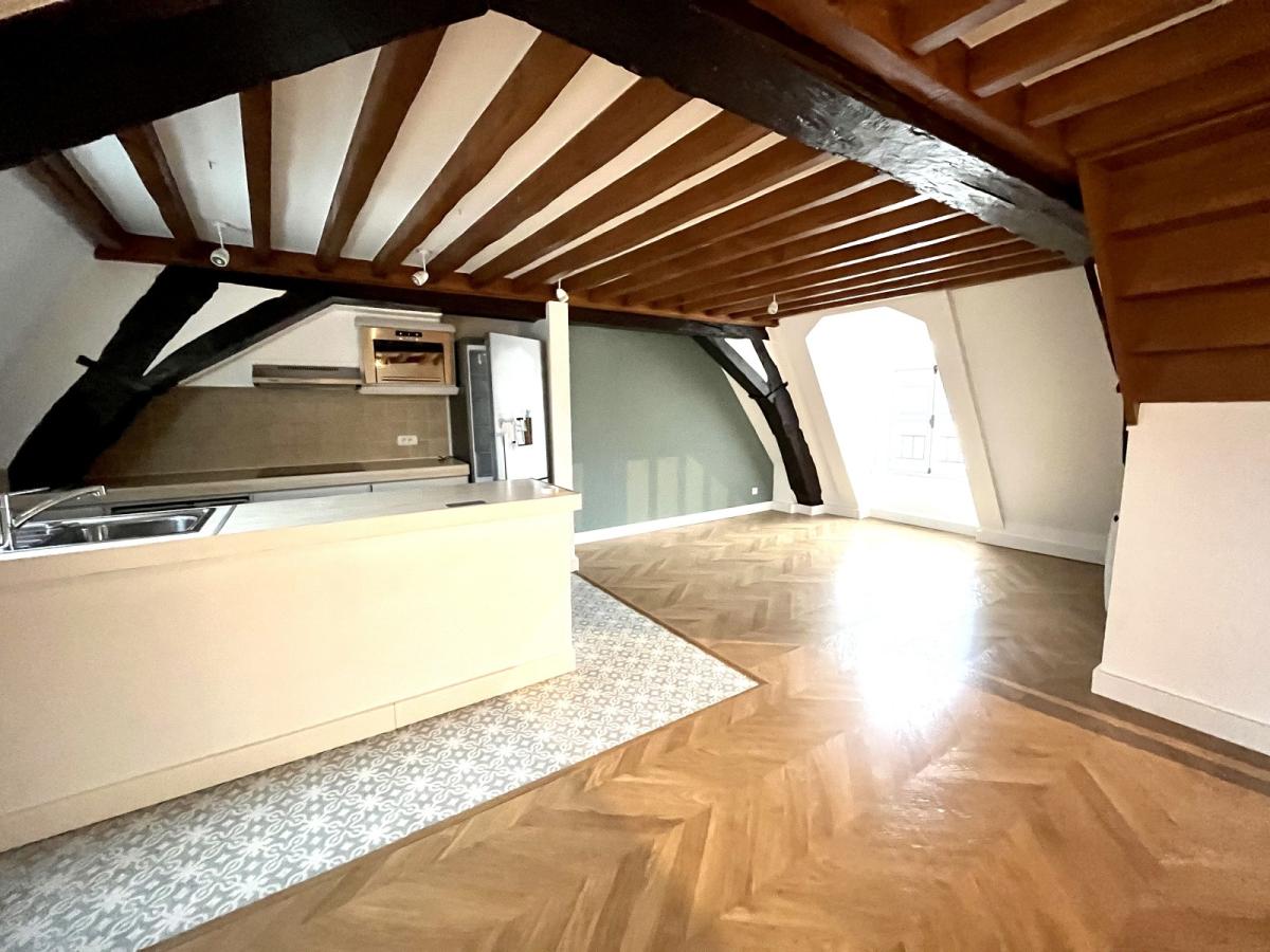 A LOUER 2/3  Pièces en DUPLEX surface 46.80m²  Loi Boutin et 84m²  au sol au 