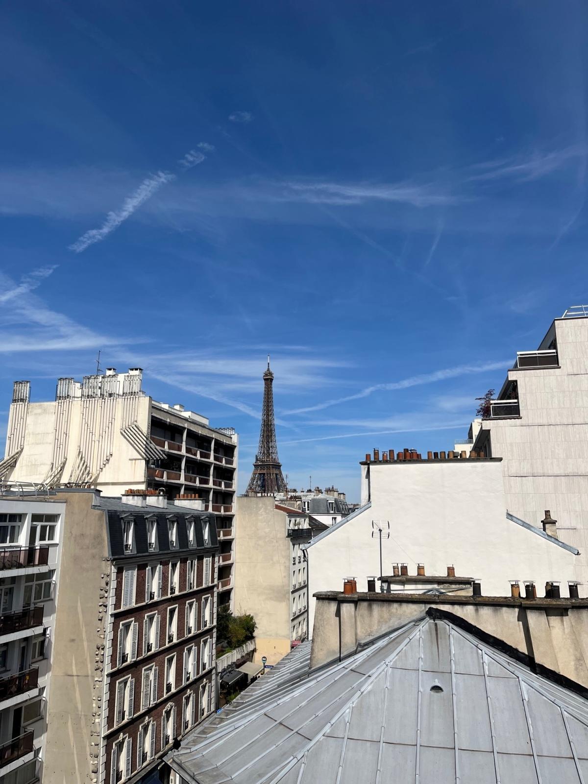 Paris XVème, métro Dupleix, Beau Studio en dernier étage rénové